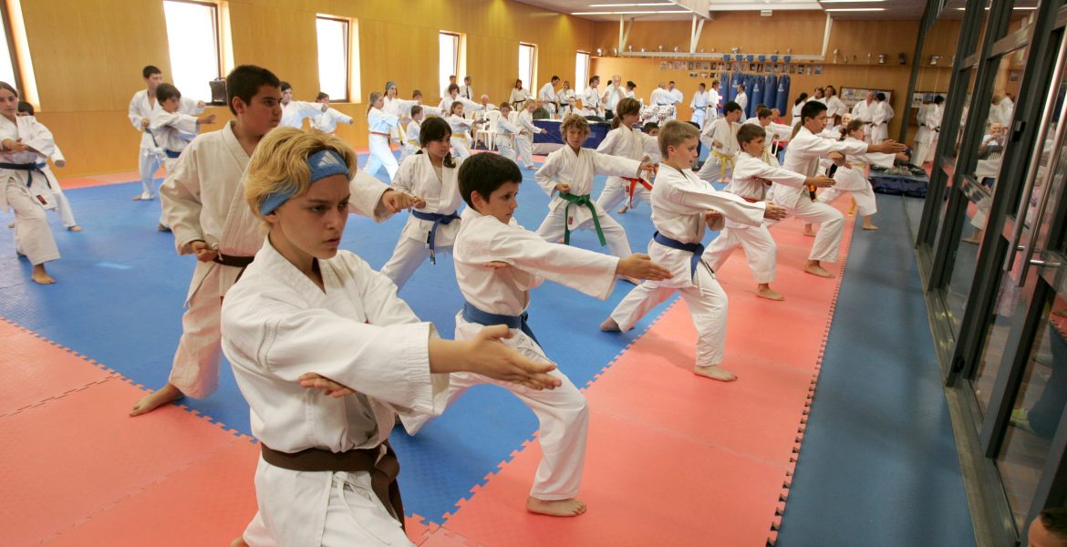 karate infantil
